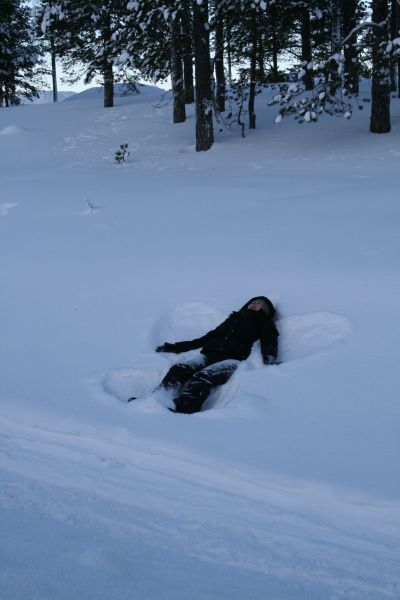 This is picture 1