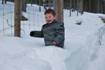 sQwinten zat vast in de sneeuw...