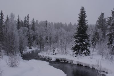 sEen idyllisch plaatje...