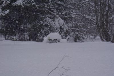 This is picture 1